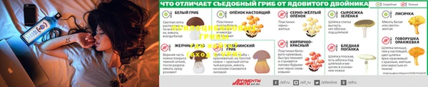 МДМА Новодвинск