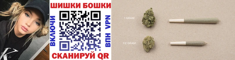 как найти наркотики  blacksprut ссылки  Каннабис индика  Шарья 
